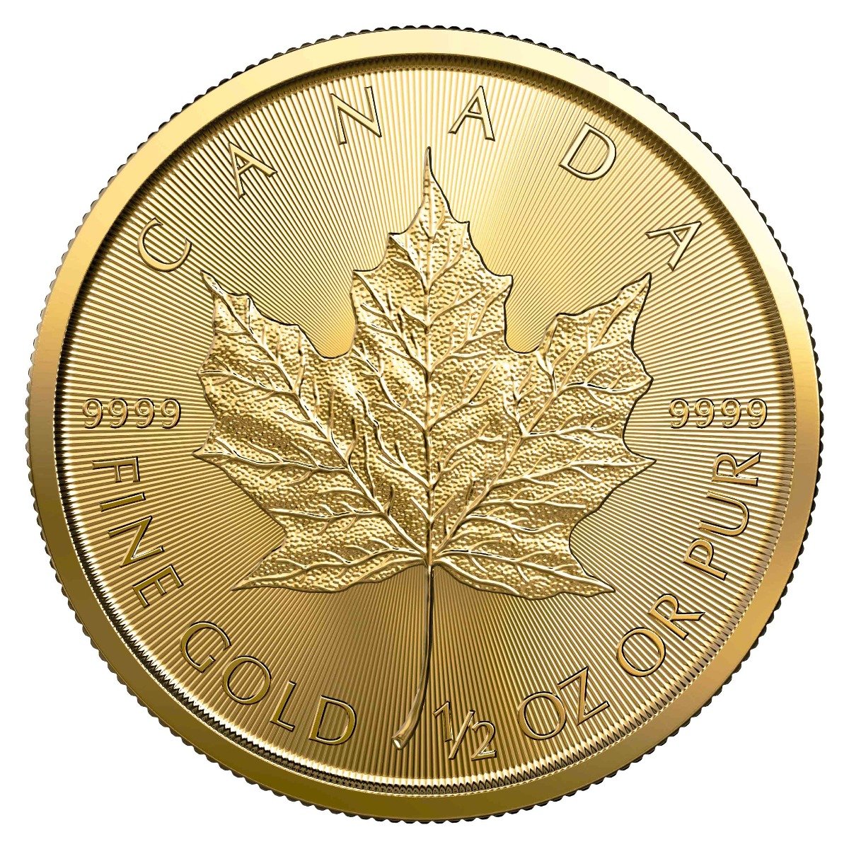 2021 1 2 oz gold maple leaf coin.jpg 2021 1 2 oz gold maple leaf coin.jpg