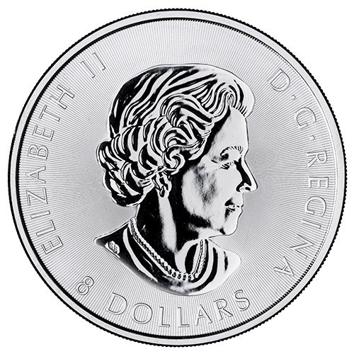 2021 royalcanadianmintcanada bison silver coin1 25 oz obverse4 500x500 1.jpg 2021 royalcanadianmintcanada bison silver coin1 25 oz obverse4 500x500 1.jpg