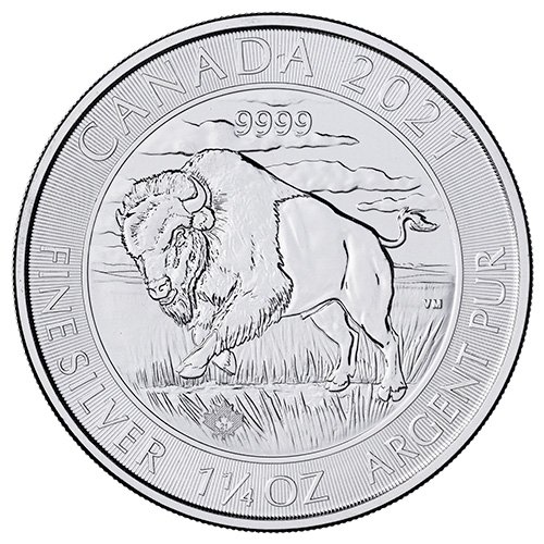 2021 royalcanadianmintcanada bison silver coin1 25 oz reverse4 500x500 1.jpg 2021 royalcanadianmintcanada bison silver coin1 25 oz reverse4 500x500 1.jpg