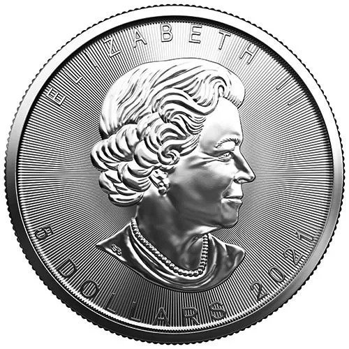 2021 silver maple leaf coin monster box 2 2.jpg 2021 silver maple leaf coin monster box 2 2.jpg