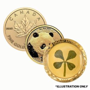 ggncoin 1g gn gold 1 gram coin front.jpg