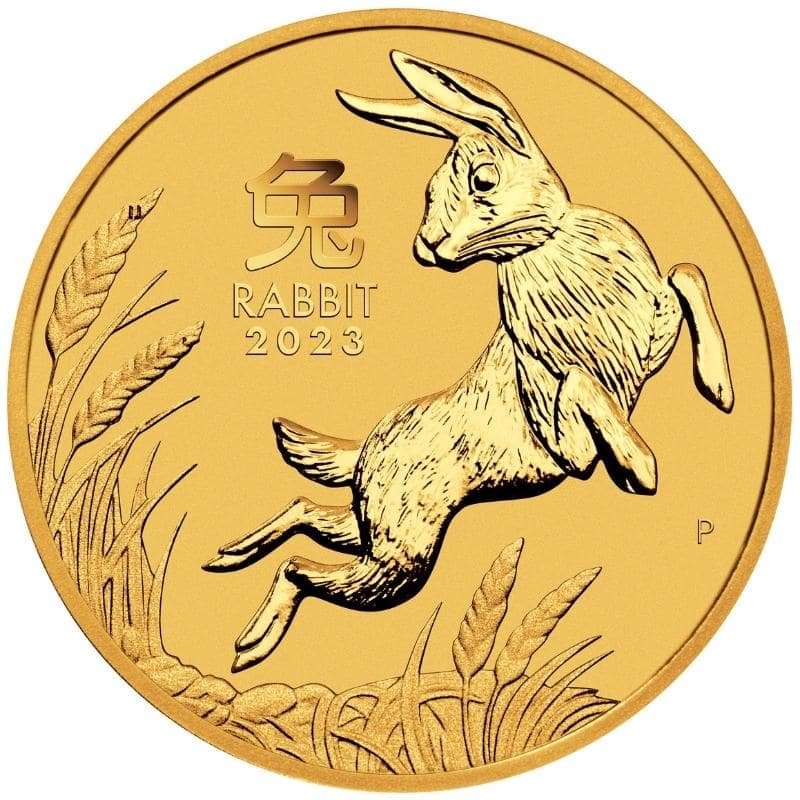 gpe23lunarrabbit 010 canva 800 800px 1 min.jpg gpe23lunarrabbit 010 canva 800 800px 1 min.jpg