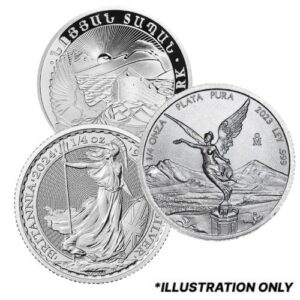 sgncoin 025 gn silver 1 4 oz coin random design front.jpg