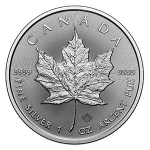 src24maple 1 reverse.jpg