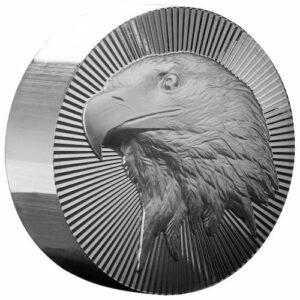 ssceaglestacker 5 sc silver eagle stacker 5 oz round ftilt.jpg