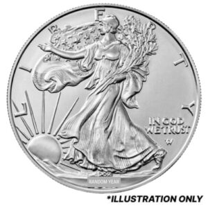 susase 1b us silver eagle 1 oz burnished coin w box and coa random year obverse 1.jpg